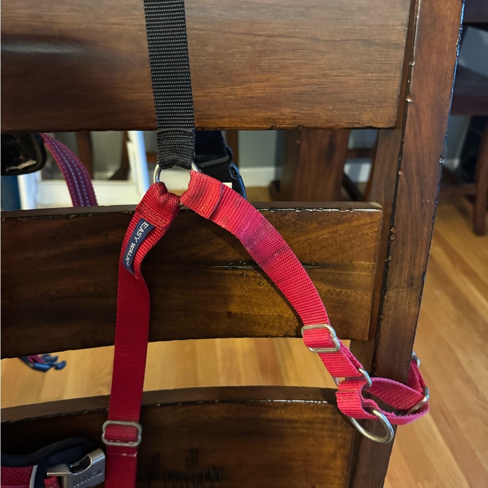 Easy walk Red Adjustable Dog Harness